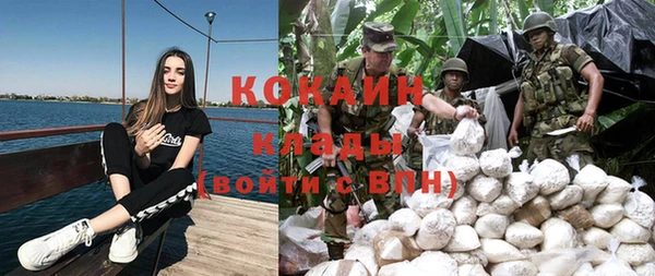 индика Алзамай