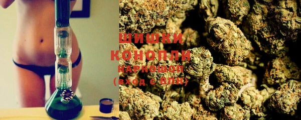 индика Алзамай