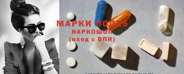 индика Алзамай