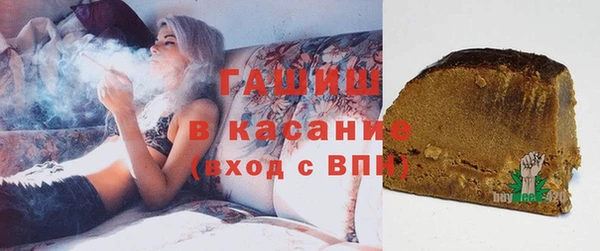 индика Алзамай