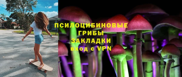 индика Алзамай
